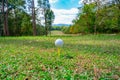 Golf course for golfer concept, golf ball on green for player