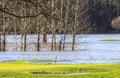 Golf course green flooded after extreme rainfall