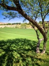 Golf course with green trees Royalty Free Stock Photo