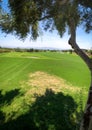 Golf course with green trees Royalty Free Stock Photo