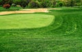 Golf Course Green Royalty Free Stock Photo