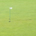 Golf Course Hole Golfing Practice Putting Green Fairway Royalty Free Stock Photo