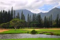 Golf course on Kauai, Hawaii Royalty Free Stock Photo