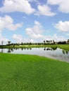 Golf Course with Lake views Royalty Free Stock Photo