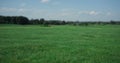 Golf course landscape view at country club. Grass fairway on summer sunny day. Royalty Free Stock Photo