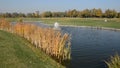 Golf course in Mezhigirya, Ukraine