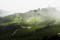 Golf course in mist