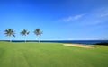 Golf Course on Ocean Coast Royalty Free Stock Photo