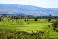 Golf course in the Okanagan valley Royalty Free Stock Photo