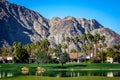 Golf course, Palm Springs, California