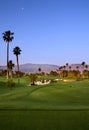 Golf Course with Palm Trees Royalty Free Stock Photo