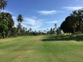 African golf course with palm trees lining the fairway Royalty Free Stock Photo