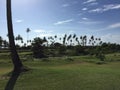 African golf course with palm trees lining the fairway Royalty Free Stock Photo