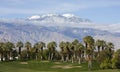 Golf Course by Palms and Mountains Royalty Free Stock Photo