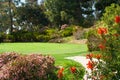 Golf Course Practice Putting Green Amongst Flowers Royalty Free Stock Photo