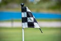 Golf Course Green - Hole and Flag.