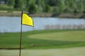 A golf course with roads, bunkers and ponds and with flag