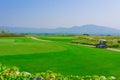 Golf course scenery view Royalty Free Stock Photo