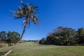 Golf Course Selborne Royalty Free Stock Photo