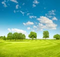 Golf course. Spring field with green grass and blue sky Royalty Free Stock Photo