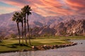 Golf courseat sunset in palm springs, california