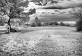 Infrared image, golf course tee