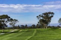 Golf Course at Torrey Pines La Jolla California USA near San Diego Royalty Free Stock Photo