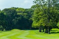 Golf Course Trees Scenic Hole Royalty Free Stock Photo