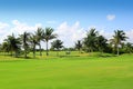 Golf course tropical palm trees Mexico