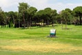 Golf course and a vehicle collecting golf balls. Ballpicker on driving range of golf club Royalty Free Stock Photo