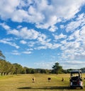 Golf Day Royalty Free Stock Photo