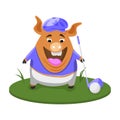 Golf Day A pig lines up a golf shot. Royalty Free Stock Photo
