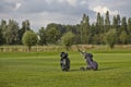 Golf equipment on green Royalty Free Stock Photo