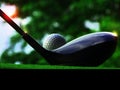 Let`s play golf. Royalty Free Stock Photo