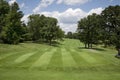 Golf fairway with trees on sunny day Royalty Free Stock Photo