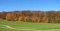 Golf field and fall season in Wisconsin Royalty Free Stock Photo