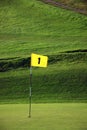 Golf Flag Royalty Free Stock Photo