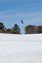 Golf Flag in the Snow