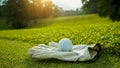 Golf glove and ball on green grass of golf course. close up view