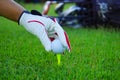 Golf glove hand hold golf ball with the tee on a beautiful golf course with golf bag and green grass background Royalty Free Stock Photo