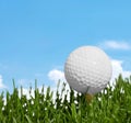 Golf Royalty Free Stock Photo