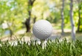 Golf Royalty Free Stock Photo