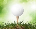 Golf Royalty Free Stock Photo