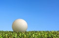 Golf on grass. Royalty Free Stock Photo