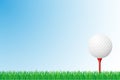 Golf grass field vector illustration Royalty Free Stock Photo