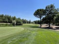 Golf green approach with pond and flag Royalty Free Stock Photo