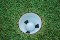 Golf green with golf ball in the hole. Hole in one in the sport of Golf Royalty Free Stock Photo