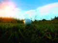 Golf on a green field on a beautiful natural background