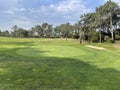 Golf green and flag with trees and a bunker Royalty Free Stock Photo