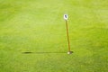 Golf green hole one Royalty Free Stock Photo